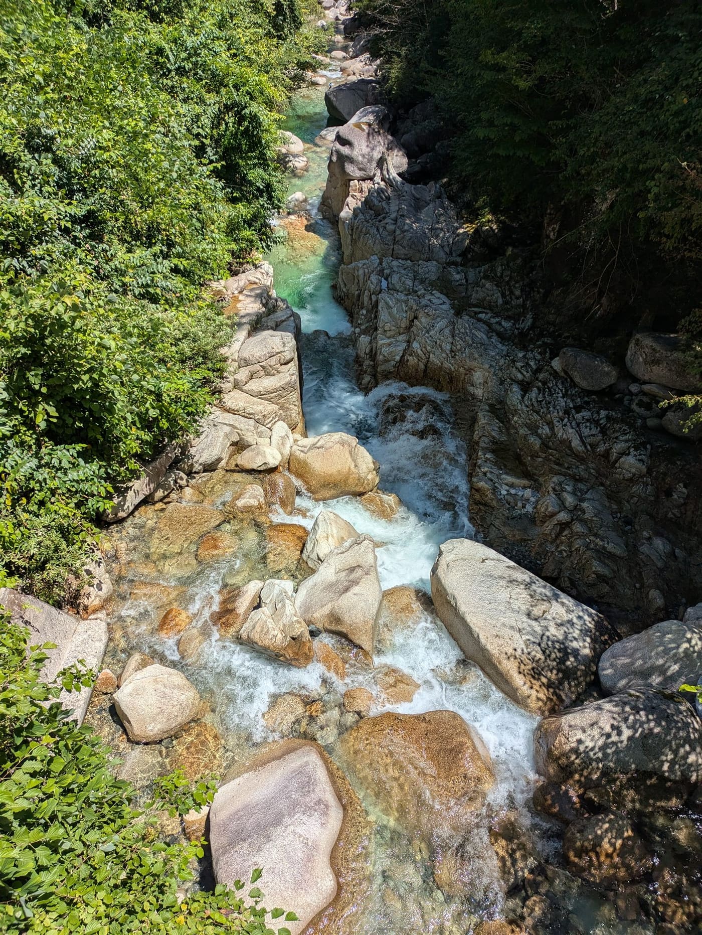 The Iwakura river in early summer morning light